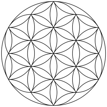 Flower of Life Illustration, Mandala Pattern, Sacred Geometry Clipart
