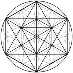 Flower of Life & Metatrons Cube Illustration, Mandala Pattern, Sacred Geometry Clipart