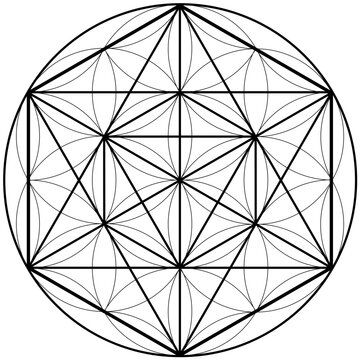 Flower of Life & Metatrons Cube Illustration, Mandala Pattern, Sacred Geometry Clipart