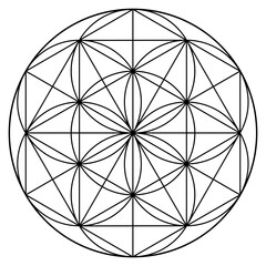 Seed of Life Illustration, Mandala Pattern, Sacred Geometry Clipart