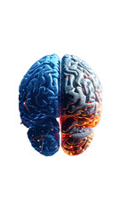 Fototapeta premium human brain with ia part