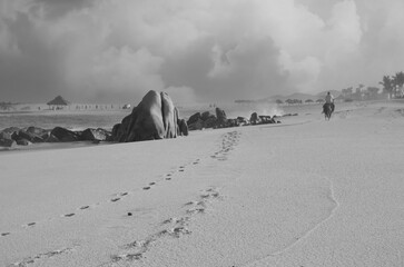 Los Cabos Beach Scene Landscape