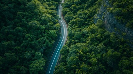 mountain road in a dark green forest generative ai