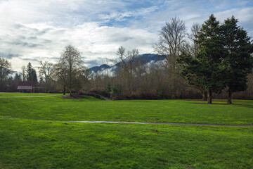 Fototapeta na wymiar 2024-02-20 CONFLUENCE PARK IN ISSAQUAH WASHINGTON WITH LUSH GREEN GRASS AND TREES WITH A CLOUDY SKY