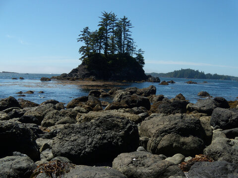 A small island in the Pacific.