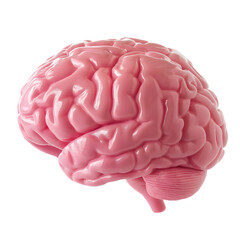 pink brain plastic isolated on transparent background generative ai