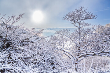 雪景色の箱根大観山から相模湾に昇る朝日