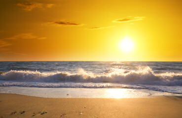 Sunset on the summer beach. - 752635750