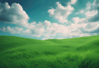 Obraz premium green field and blue sky