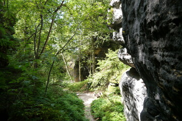 Weg durch Schlucht auf dem Pfaffenstein in der Sächsischen Schweiz