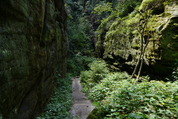 Weg mit Treppen auf dem Pfaffenstein in der Sächsischen Schweiz