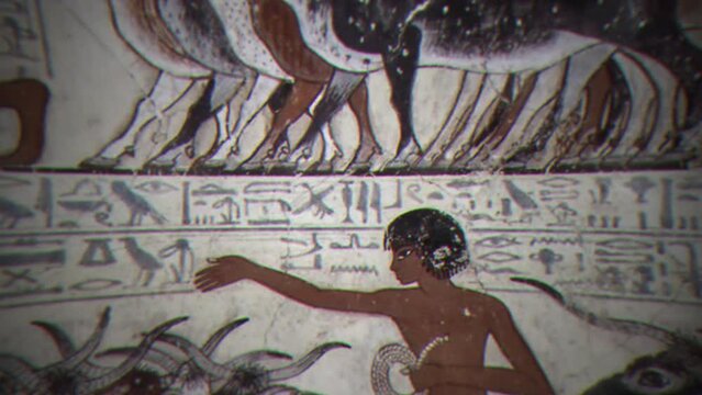 Presentation of Ancient Egyptian Remains with Slide Projector. 16.