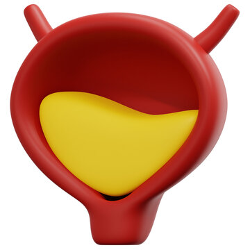 bladder 3d render icon illustration