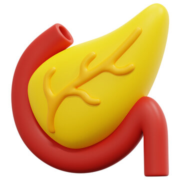 pancreas 3d render icon illustration
