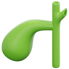 gallbladder 3d render icon illustration