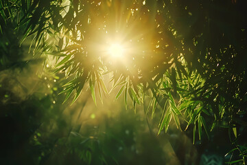 a bright sun streaming through a green tree