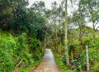 Stone path through lush greenery at Laguna de Guatavita, Cundinamarca