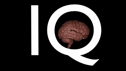 3d rendering of IQ or brain intelligence to brain structure 