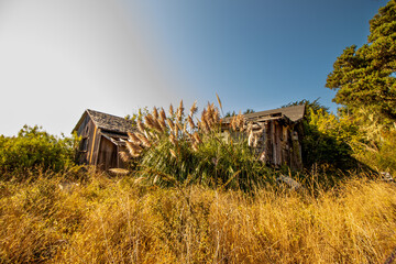 Sunlit Abandoned Wooden Cabin Overgrown With Wild Grass in the Countryside at Sunset