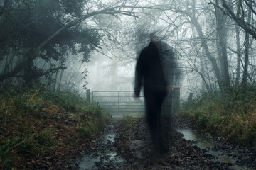 A spooky, creepy ghost like figure. Walking along a forest path. On a foggy winters day.