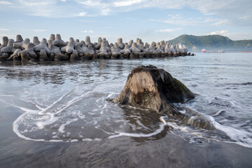 A tetrapod is a form of wave-dissipating concrete block used to prevent erosion caused by weather...