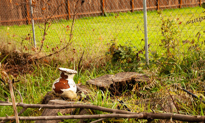 Old vase in a garden