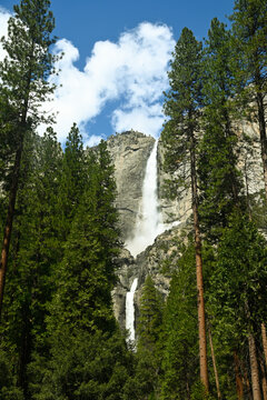 waterfall in yosemite
