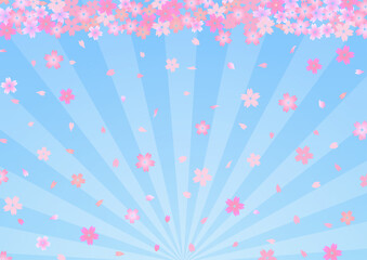 桜と集中線のセール背景