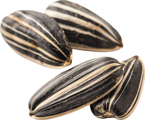 Sunflower seeds isolated on transparent background. PNG
