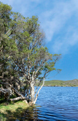 Moore River estuary Perth WA.