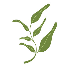 Small plant element illustration