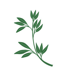Small plant element illustration