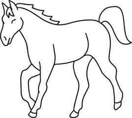 horse illustration