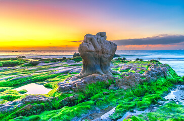 Landscape of rocky beach at sunrise with moss and pebbles on Co Thach beach, a famous beach in Binh Thuan province, central Vietnam