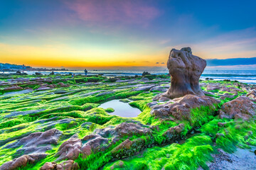 Landscape of rocky beach at sunrise with moss and pebbles on Co Thach beach, a famous beach in Binh...