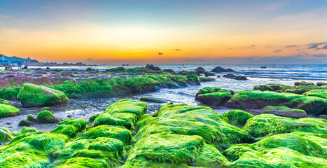 Landscape of rocky beach at sunrise with moss and pebbles on Co Thach beach, a famous beach in Binh...