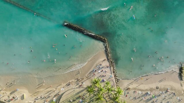 Paradise island nature background. Copy space wallpaper of summer vacation on tropical Hawaii. People swimming in blue water and sunbathing in golden sun 4K. Top down view over beautiful Waikiki beach