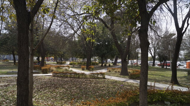 Naturaleza en su esplendor