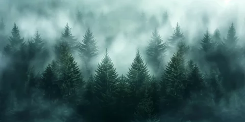 Gordijnen An enchanting misty pine forest © Dada635
