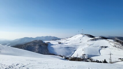 beautiful scenery and trees in the winter mountains