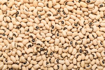 Black eye pea seeds, an ingredient for making vegetarian and healthy food. Close-up image of food background texture