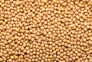 Soybean seeds, an ingredient for making vegetarian and healthy food. Close-up image of food background texture