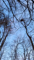 an airplane flying through a new house on a tree