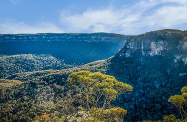 Photo sur Plexiglas Trois sœurs Blue mountains national park, Australia 