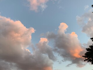 Pink clouds in the sky during sunset