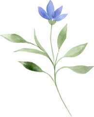 Watercolor blue flowers