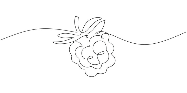 recommend clip art: Raspberry one line drawing. Continuous outline of Raspberry fruit. Vector illustration healthy food concept.