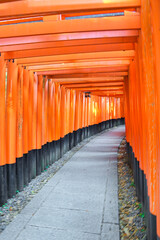京都 伏見稲荷大社　千本鳥居　美しい朱色の鳥居 （日本京都府京都市） Kyoto Fushimi Inari Taisha Shrine Senbon Torii, beautiful vermilion torii gates　(Kyoto City, Kyoto Prefecture, Japan)