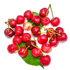 Cerises 