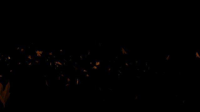 Flying autumn leaves over black background. Element Overlay, green screen, alpha effect -4k Seamless Loo
